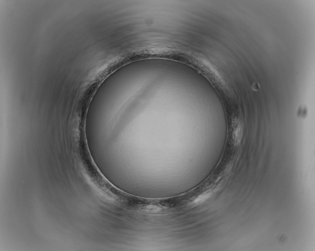 X0000091580542200709051102