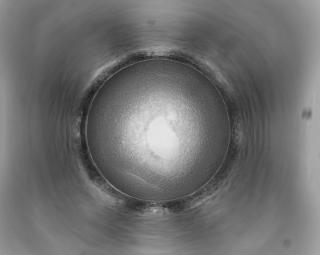 X0000091580543200709051102