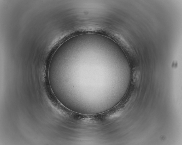 X0000091580544200709051102