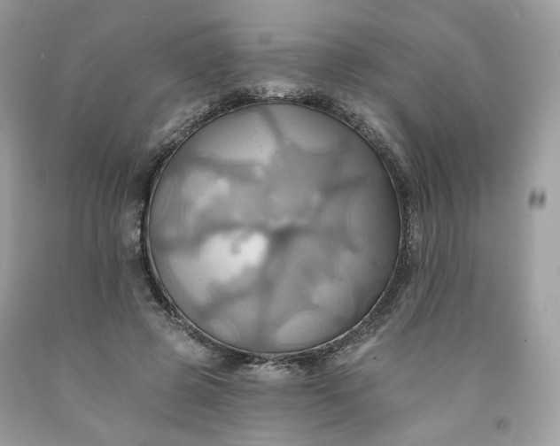 X0000091580545200709051102