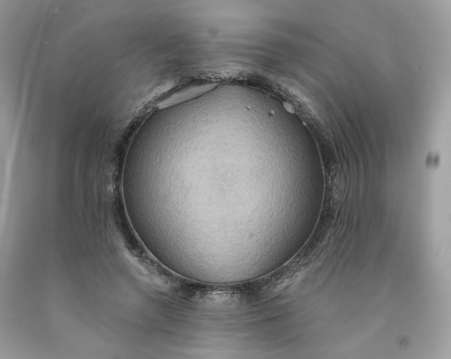 X0000091580546200709051102