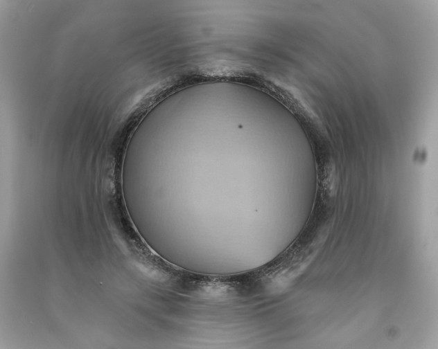 X0000091580547200709051102