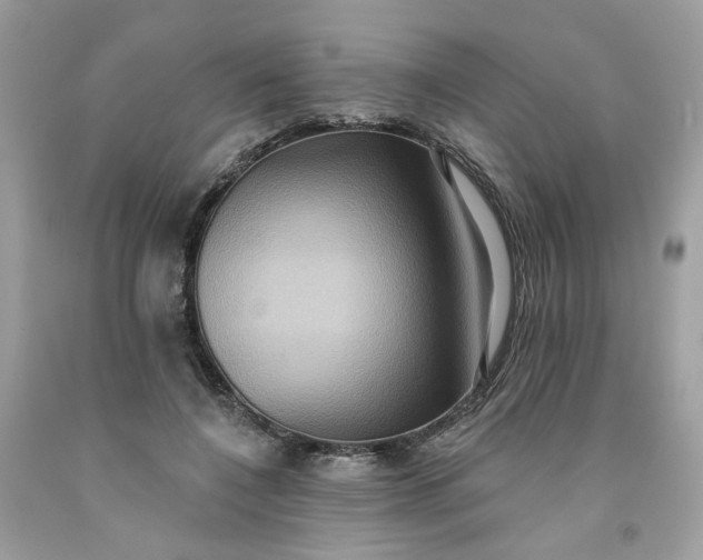 X0000091580548200709051102