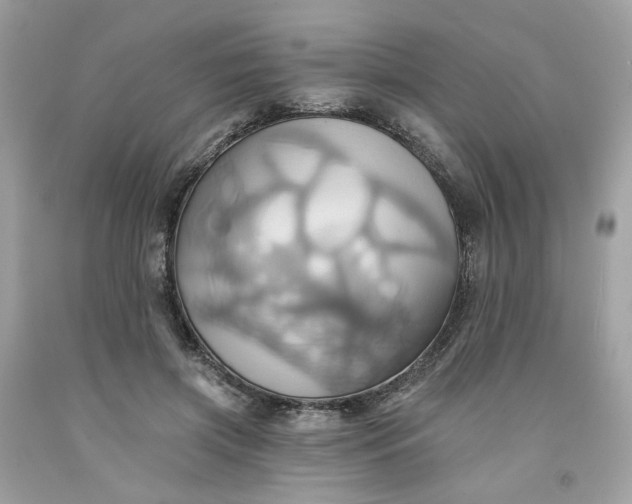 X0000091580549200709051102