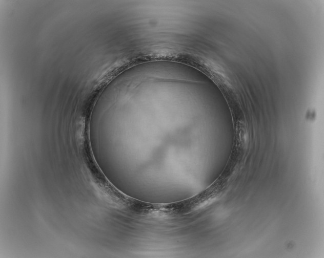 X0000091580550200709051102