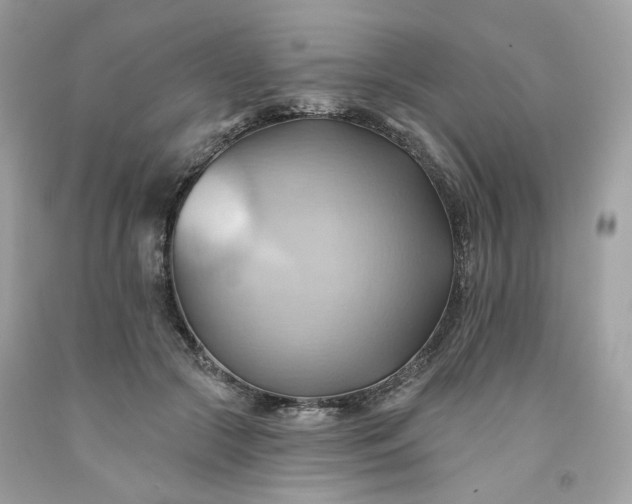 X0000091580553200709051102