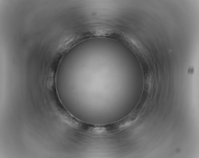 X0000091580554200709051103