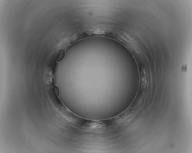 X0000091580555200709051103