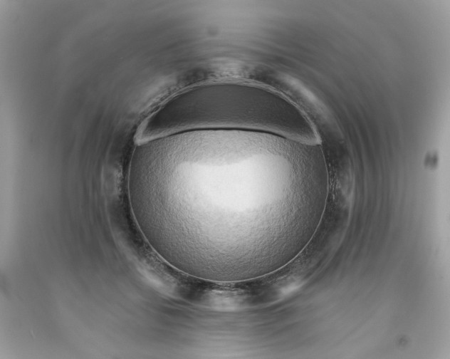 X0000091580556200709051103