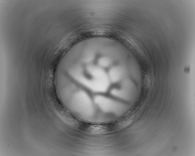 X0000091580557200709051103