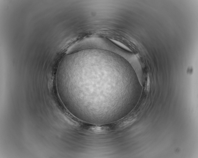 X0000091580558200709051103