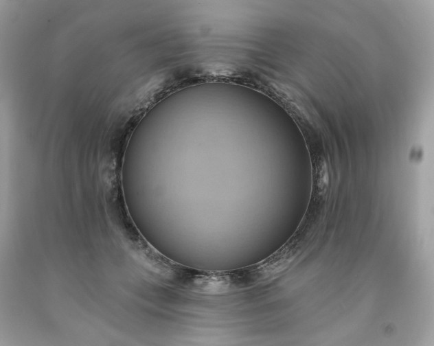 X0000091580559200709051103