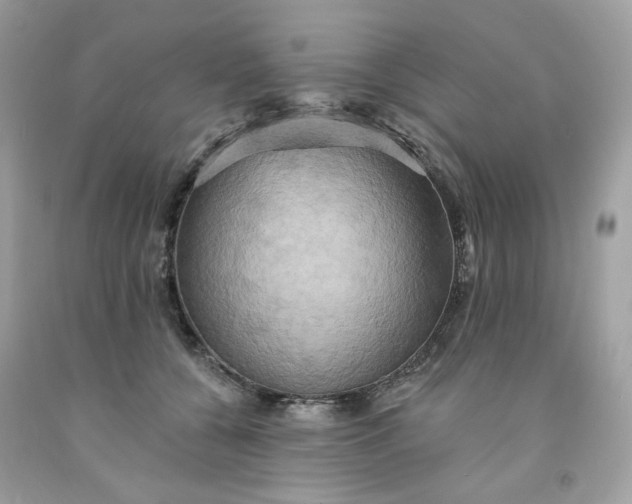 X0000091580560200709051103