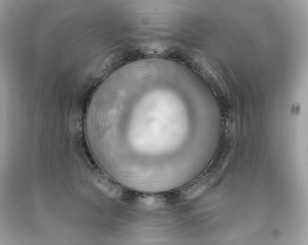 X0000091580561200709051103