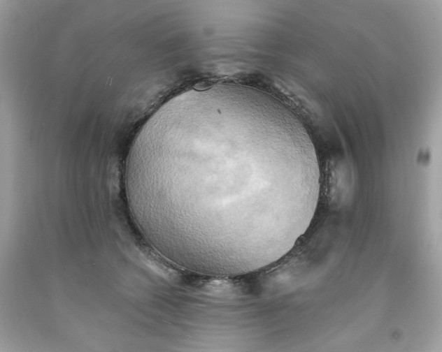 X0000091580562200709051103