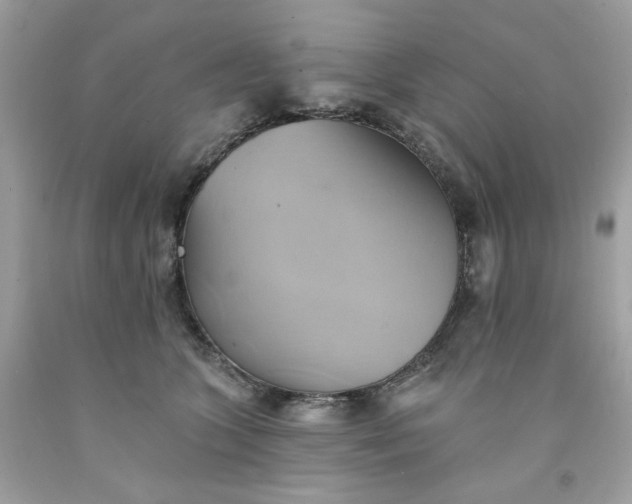 X0000091580563200709051103