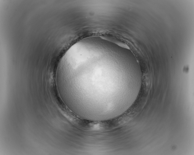 X0000091580564200709051103