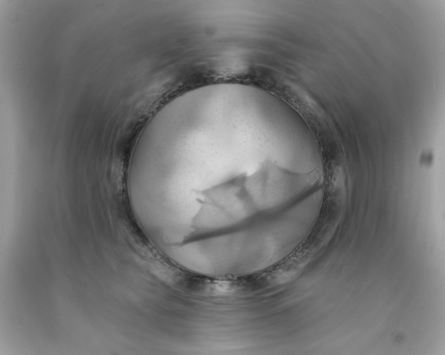 X0000091580565200709051103