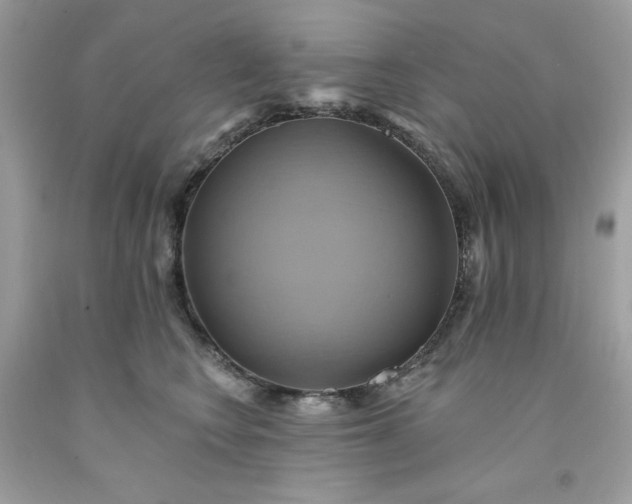 X0000091580566200709051103