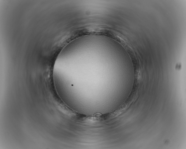 X0000091580567200709051103