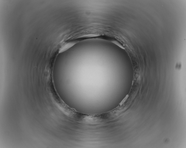 X0000091580568200709051103