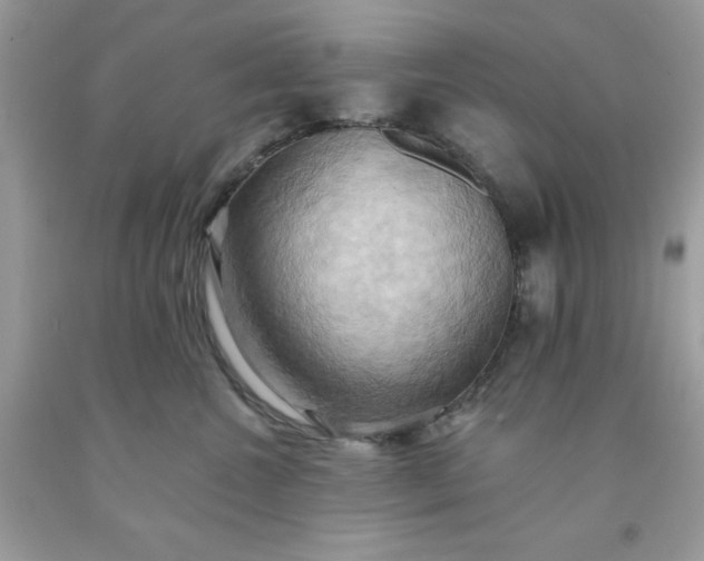 X0000091580572200709051103