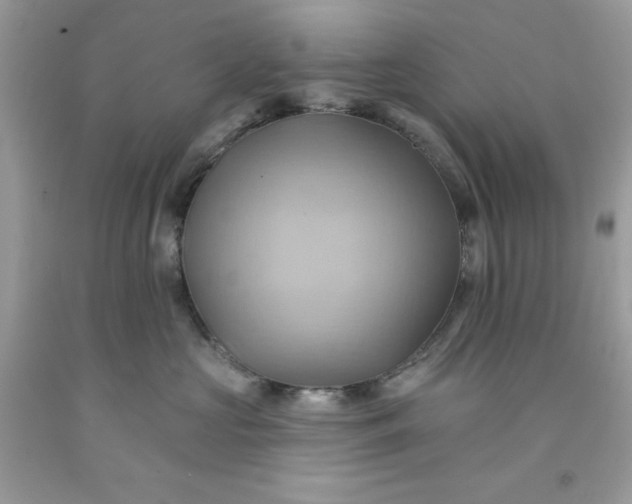 X0000091580573200709051103