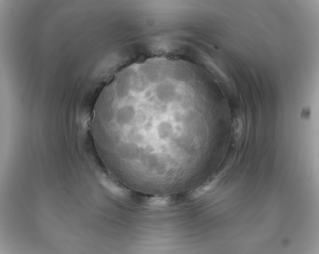 X0000091580574200709051103