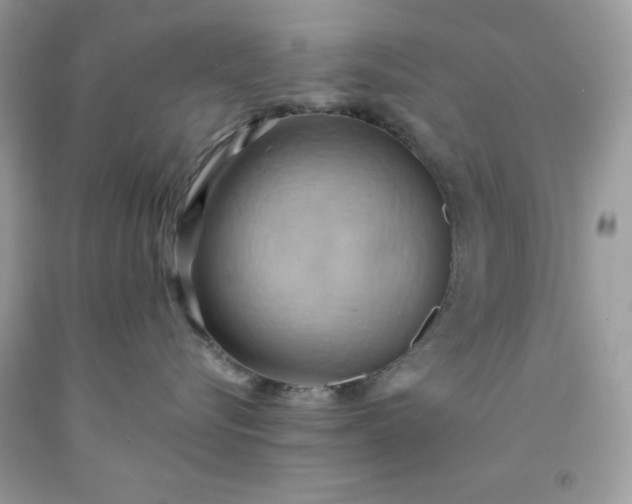 X0000091580576200709051103