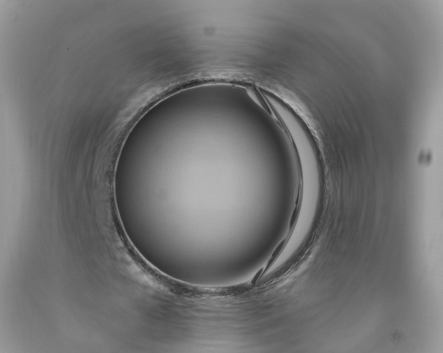 X0000091580577200709051102