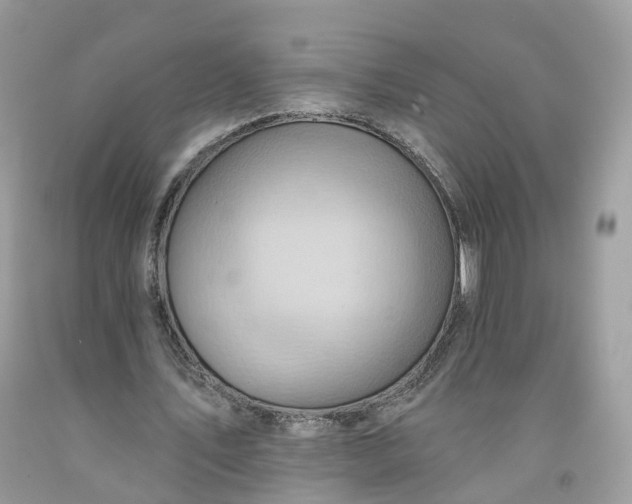 X0000091580579200709051102