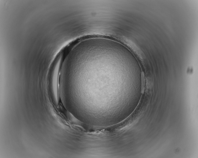 X0000091580580200709051102