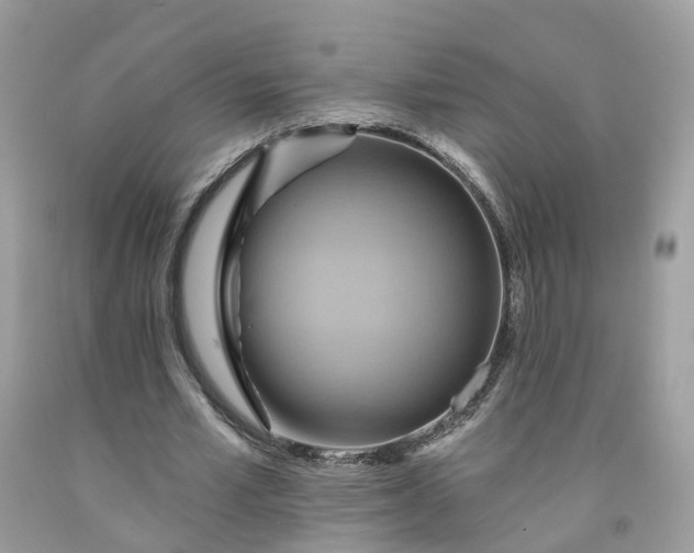 X0000091580581200709051102