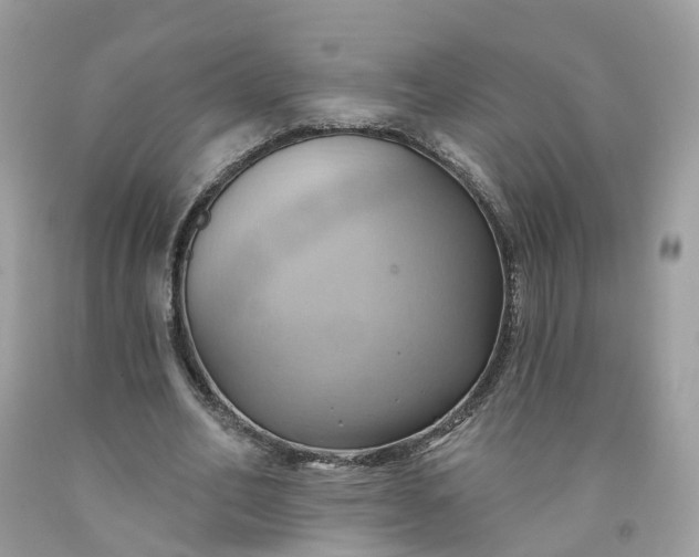 X0000091580582200709051102