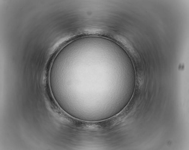 X0000091580583200709051102