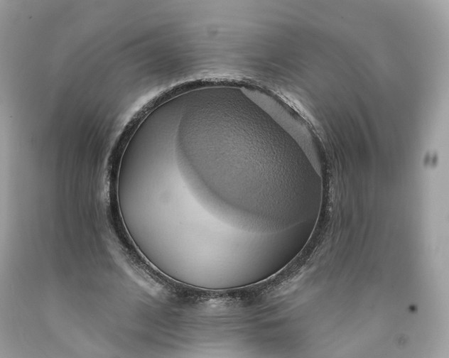 X0000091580584200709051102