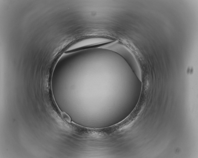 X0000091580585200709051102