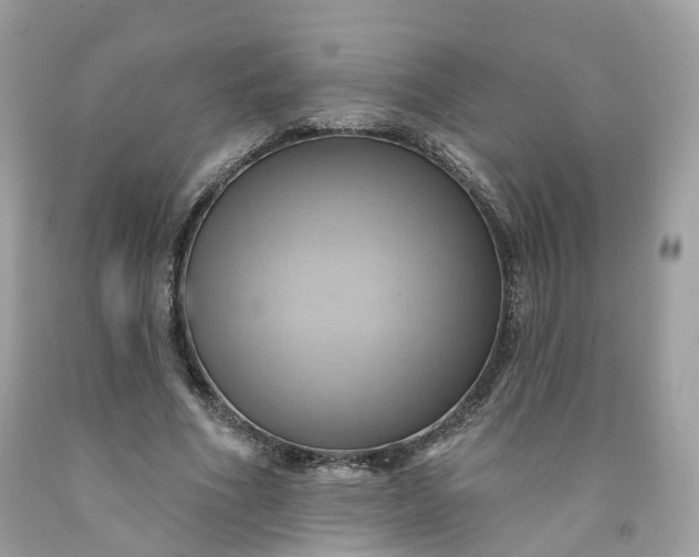 X0000091580586200709051102