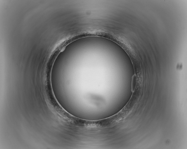 X0000091580587200709051102