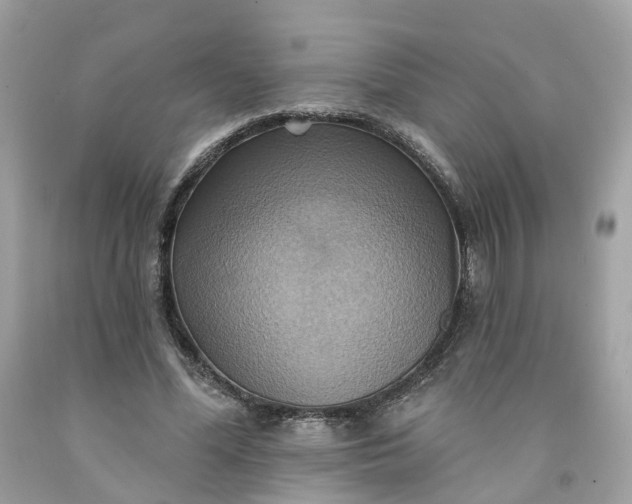 X0000091580588200709051102