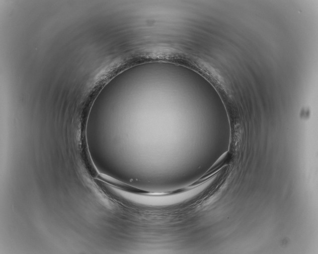 X0000091580589200709051102