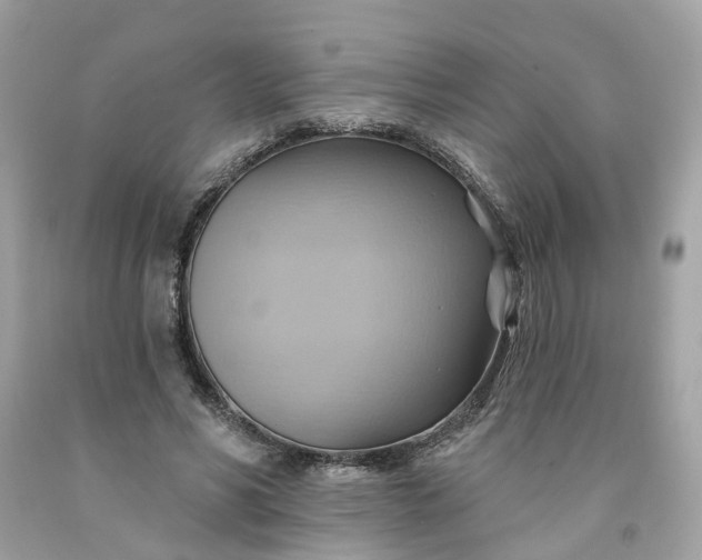 X0000091580590200709051102