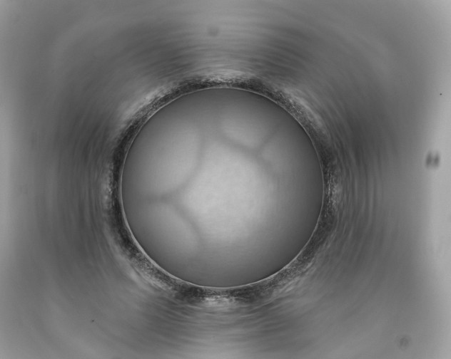 X0000091580591200709051102