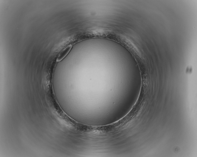 X0000091580593200709051102