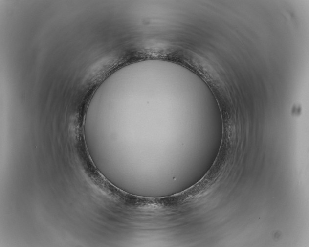 X0000091580594200709051102