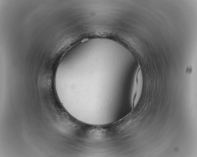 X0000091580595200709051102