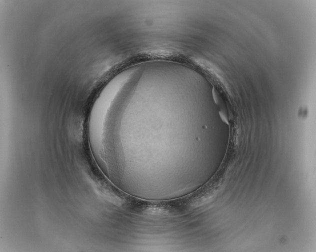 X0000091580596200709051102