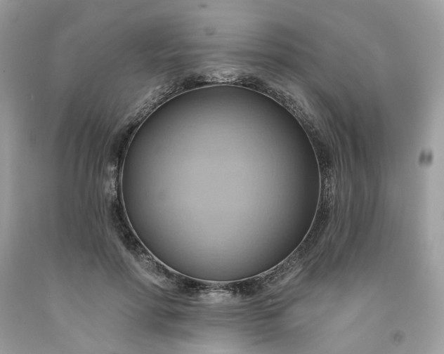 X0000091580598200709051102