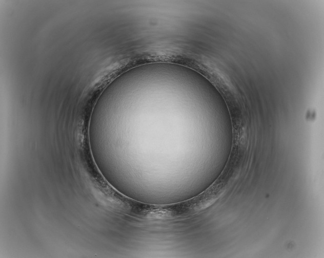 X0000091580599200709051102