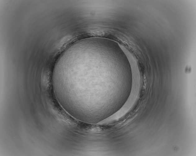 X0000091580600200709051102